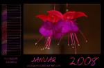 Kalender 2008 - Januar by webcruiser