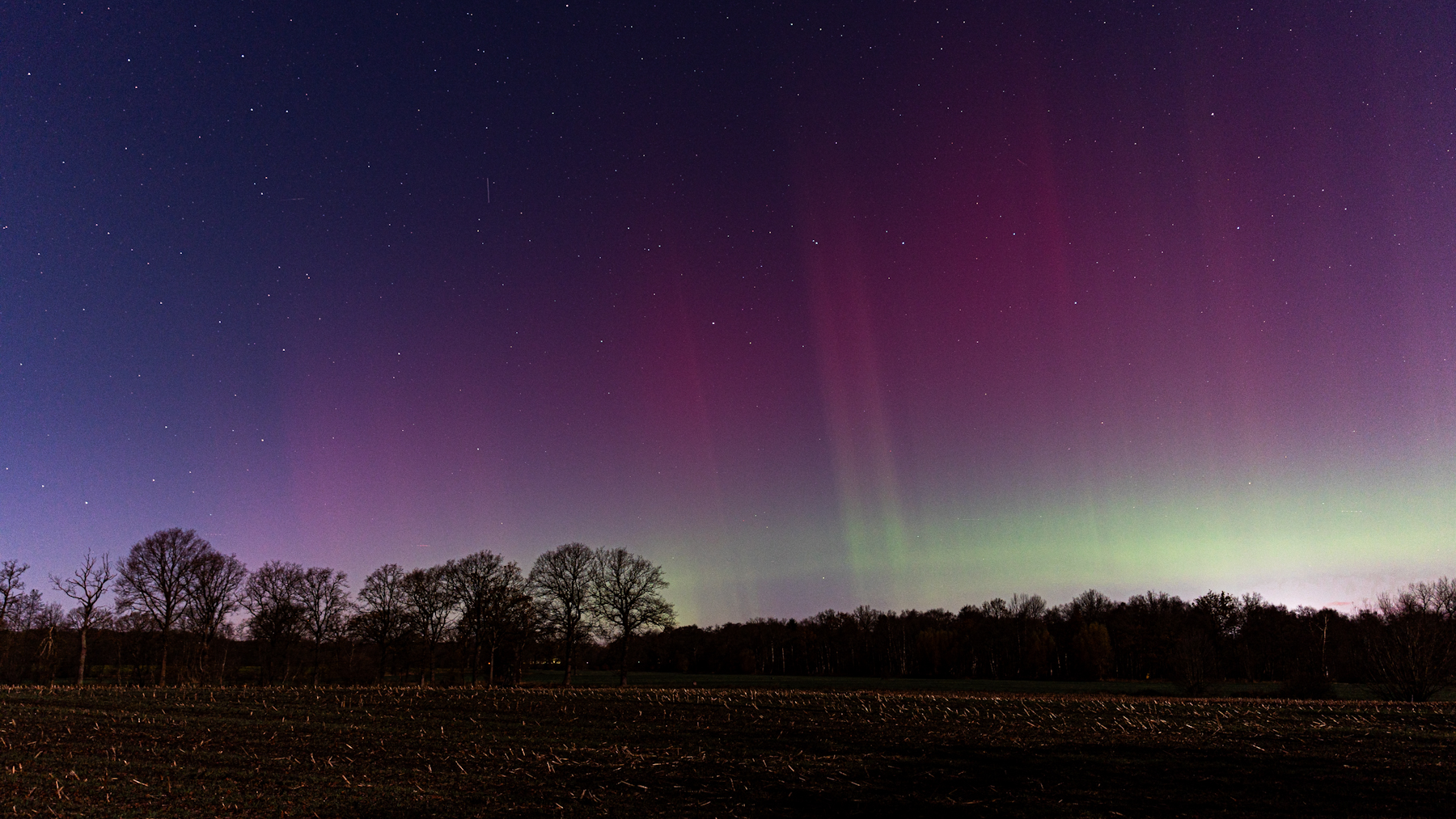 Polarlichter 25.11.2023