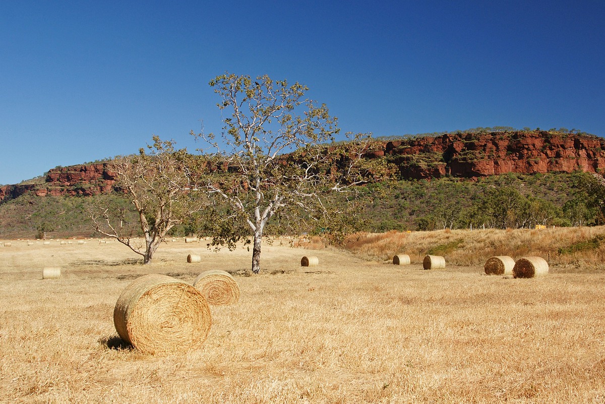 Australien 345