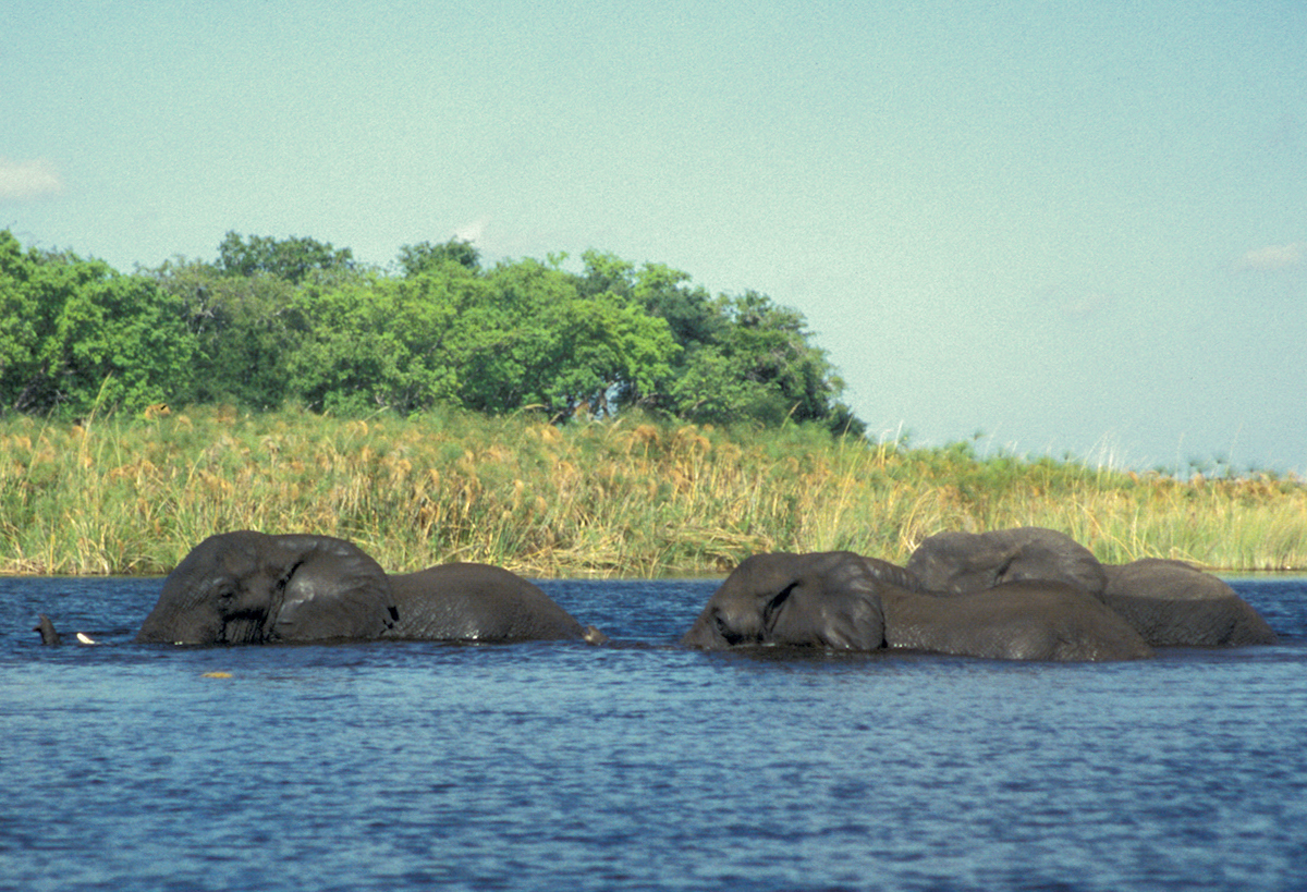 Botswana-Okawango