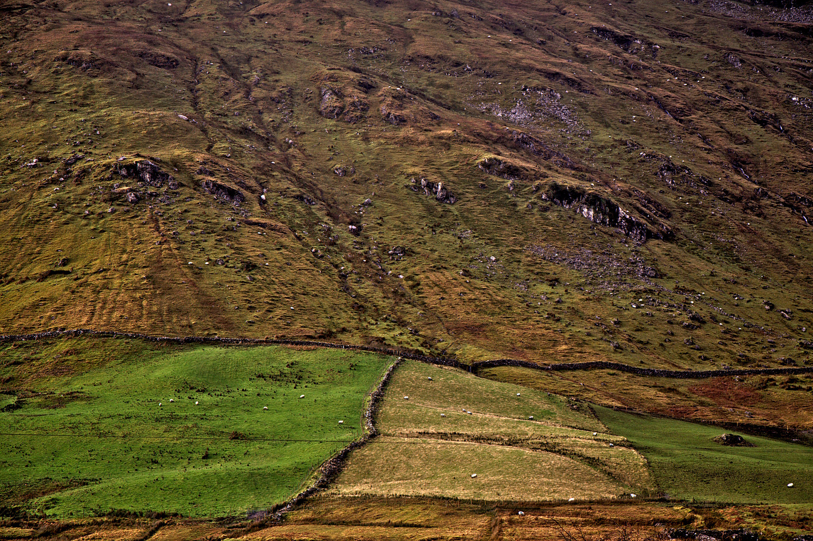 Irland Winter