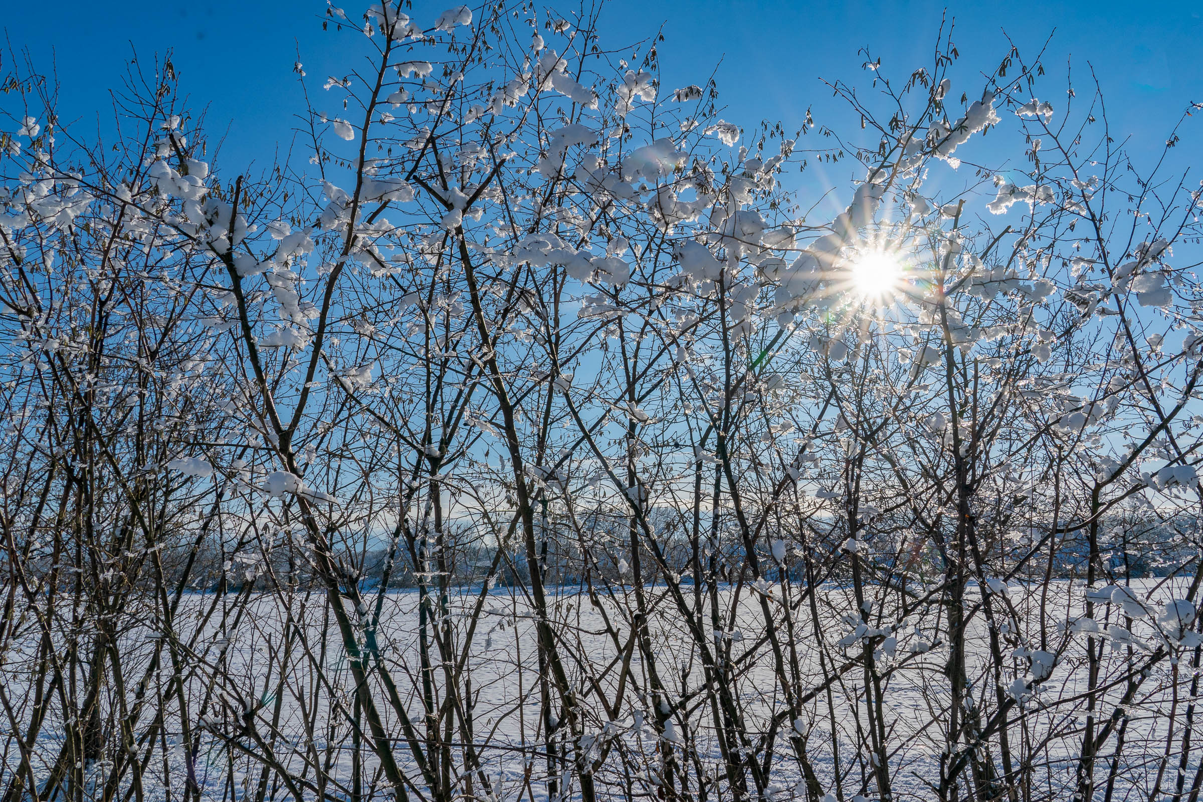 Wintersonne