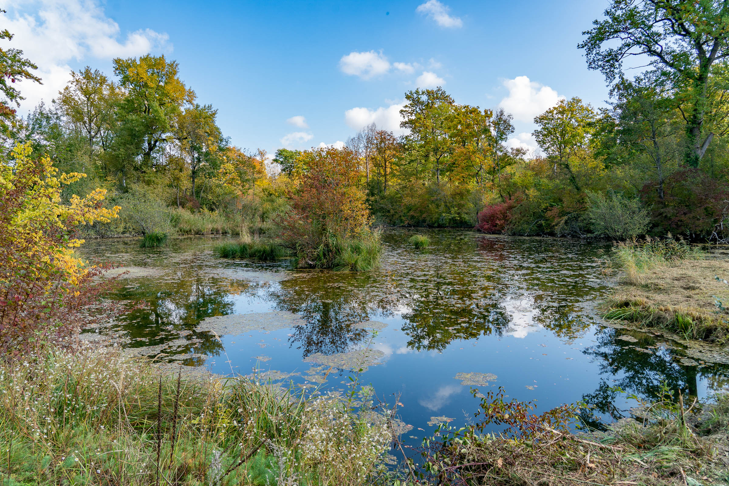 Naturschutzgebiet