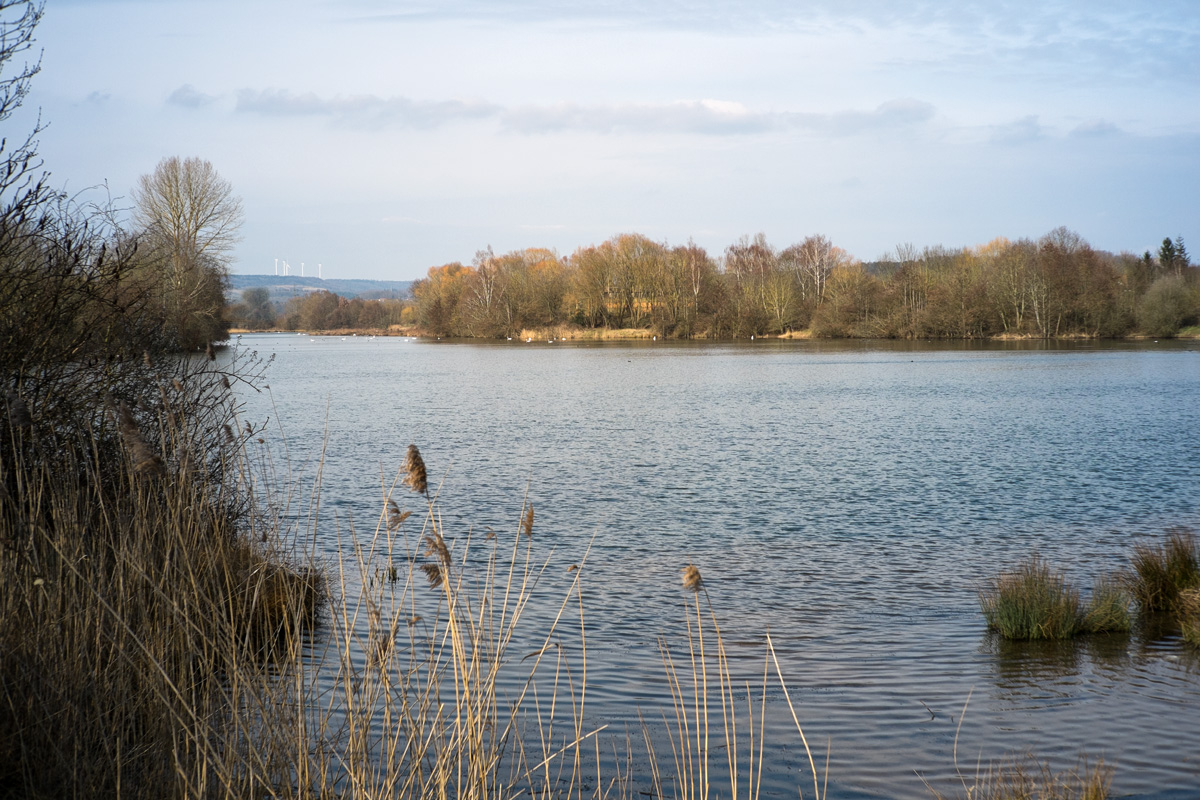 Ökosee