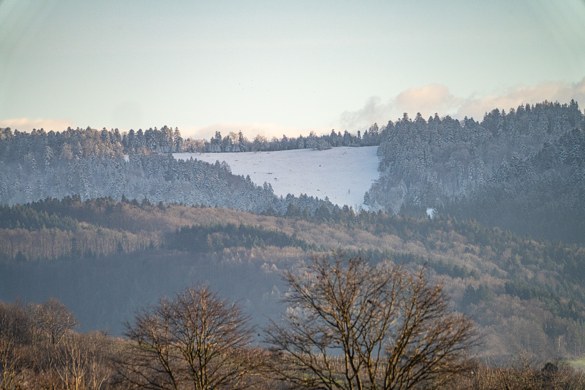 Weihnachtsspaziergang III