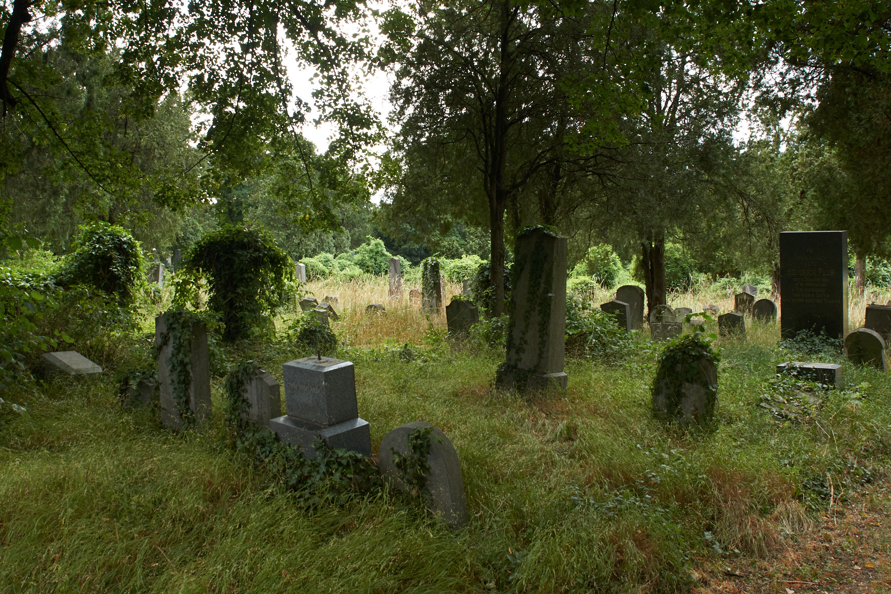 Zentralfriedhof5