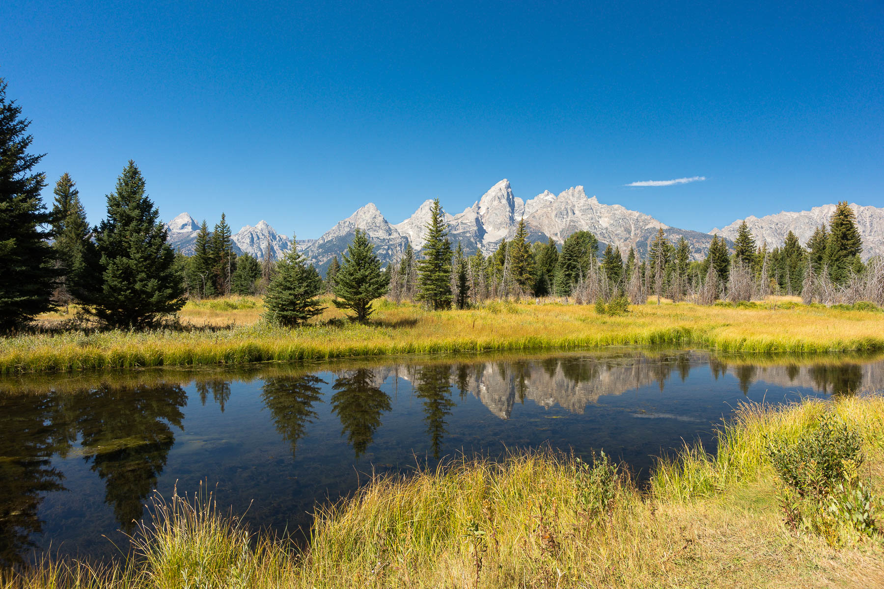 Grand Teton