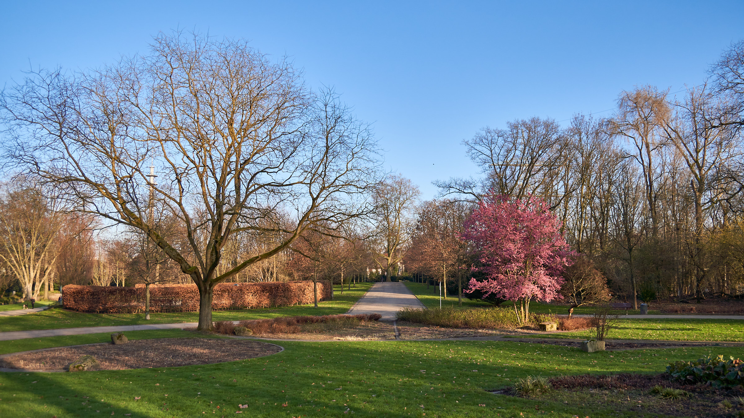 Bald ist Frühling