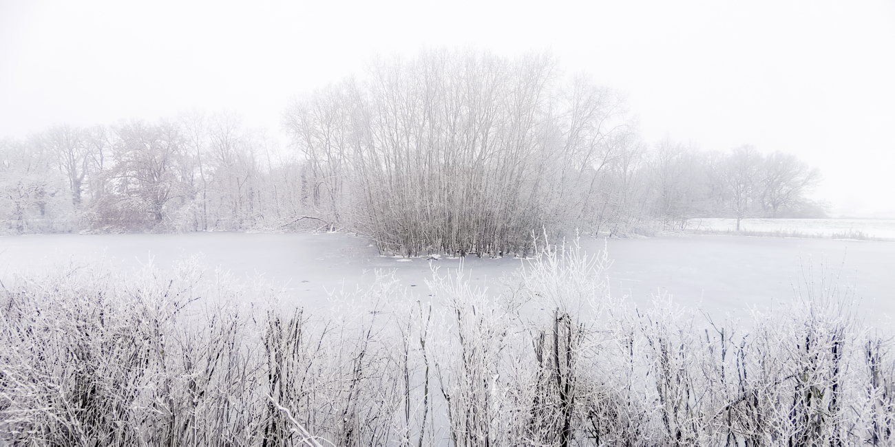 Winterspaziergang mit ingoKober