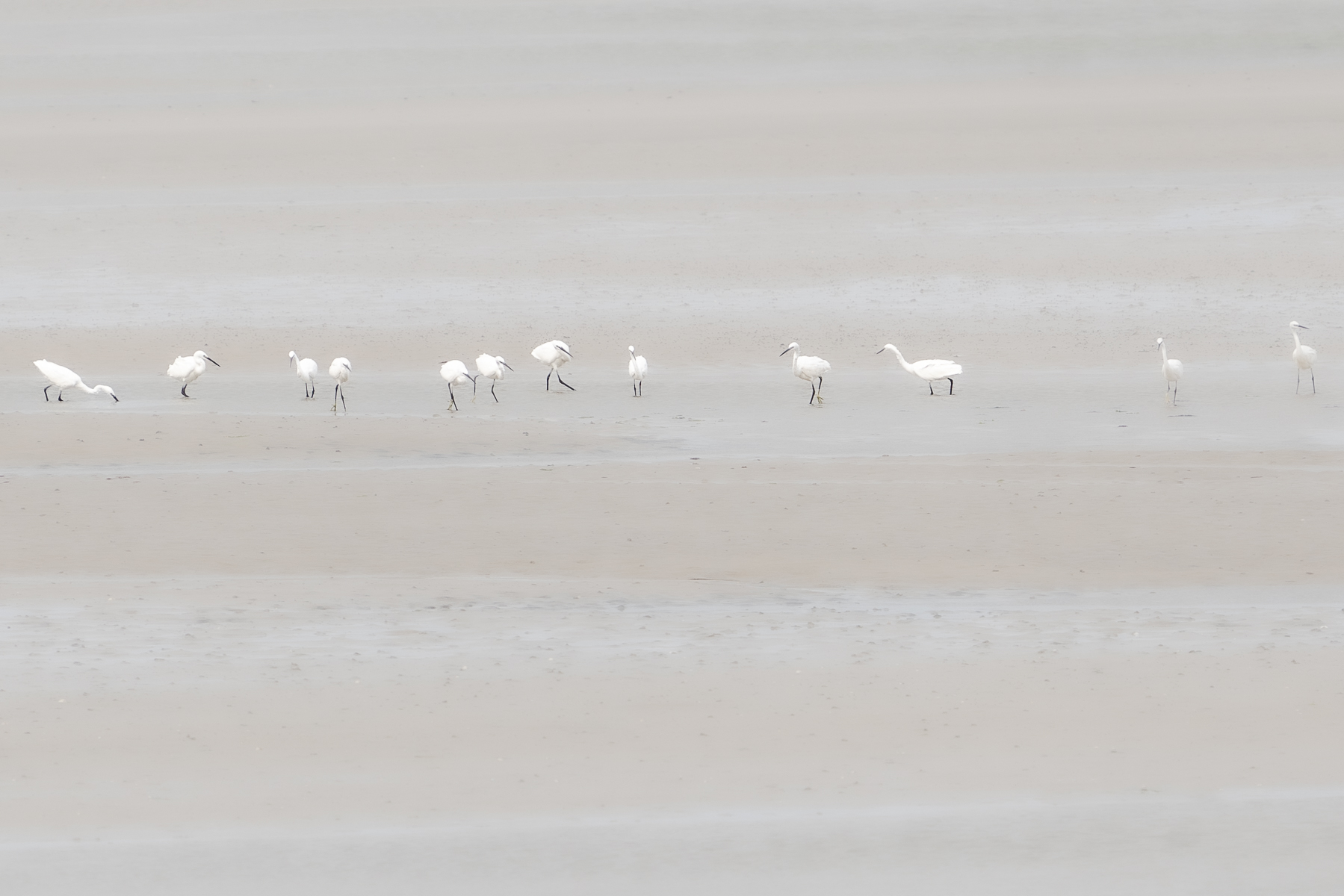 Dunes de Keremma