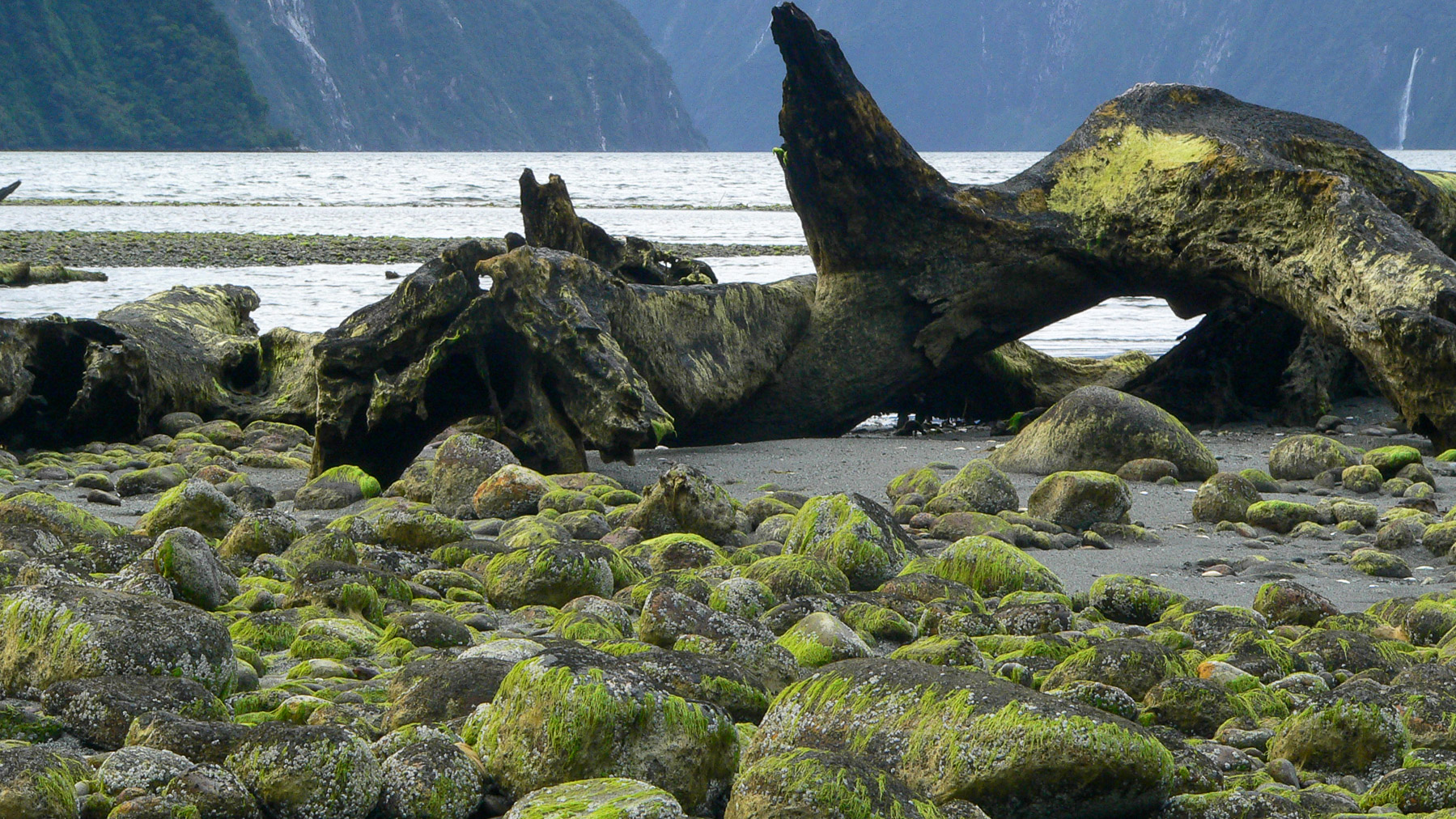 Milford Sound (NZ)