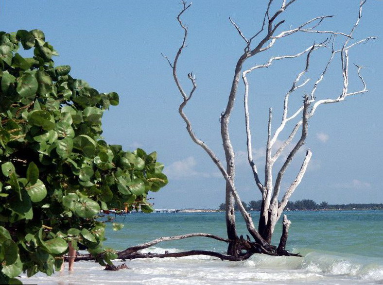 Sanibel Island