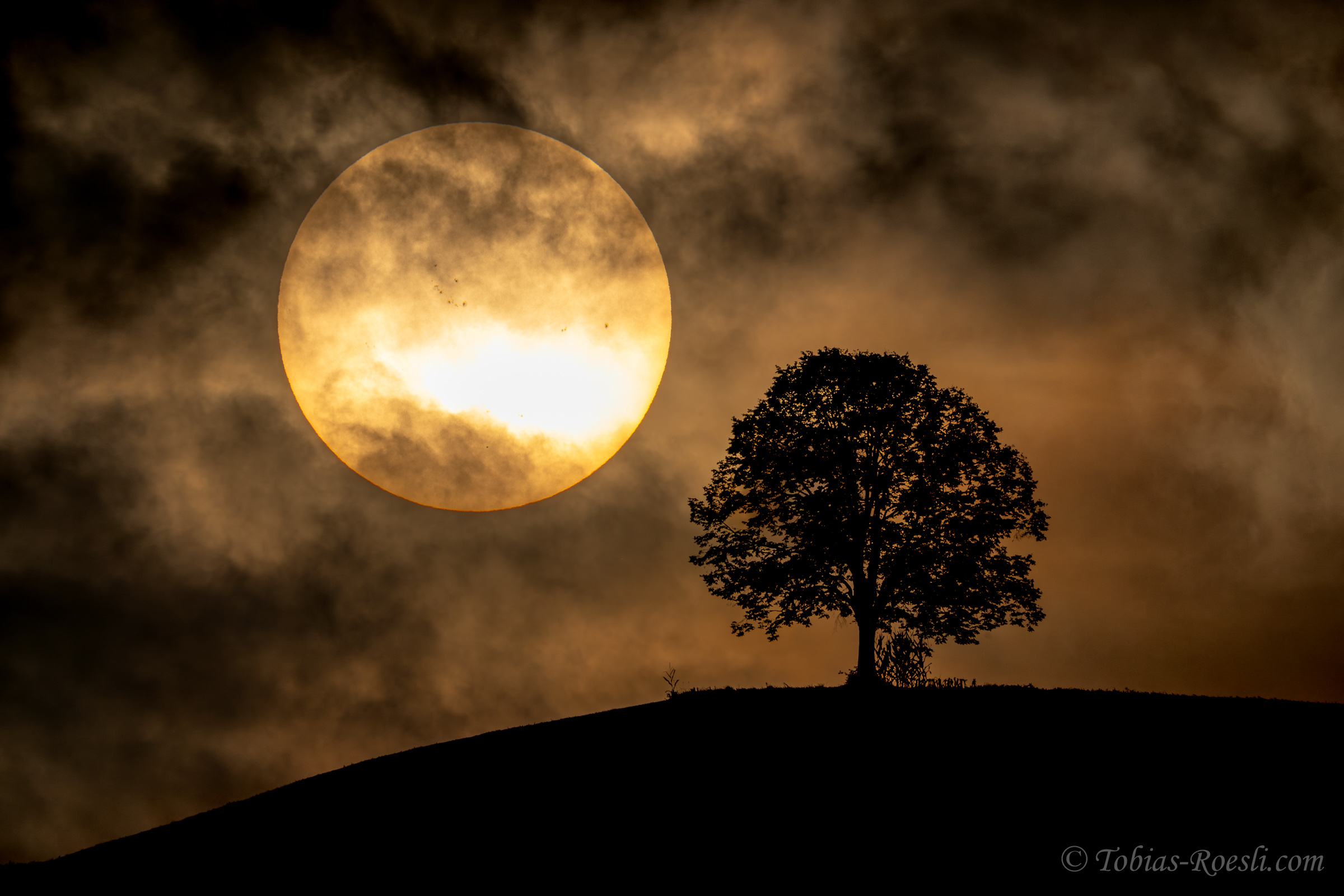 Sonnenflecken und Linde 2A