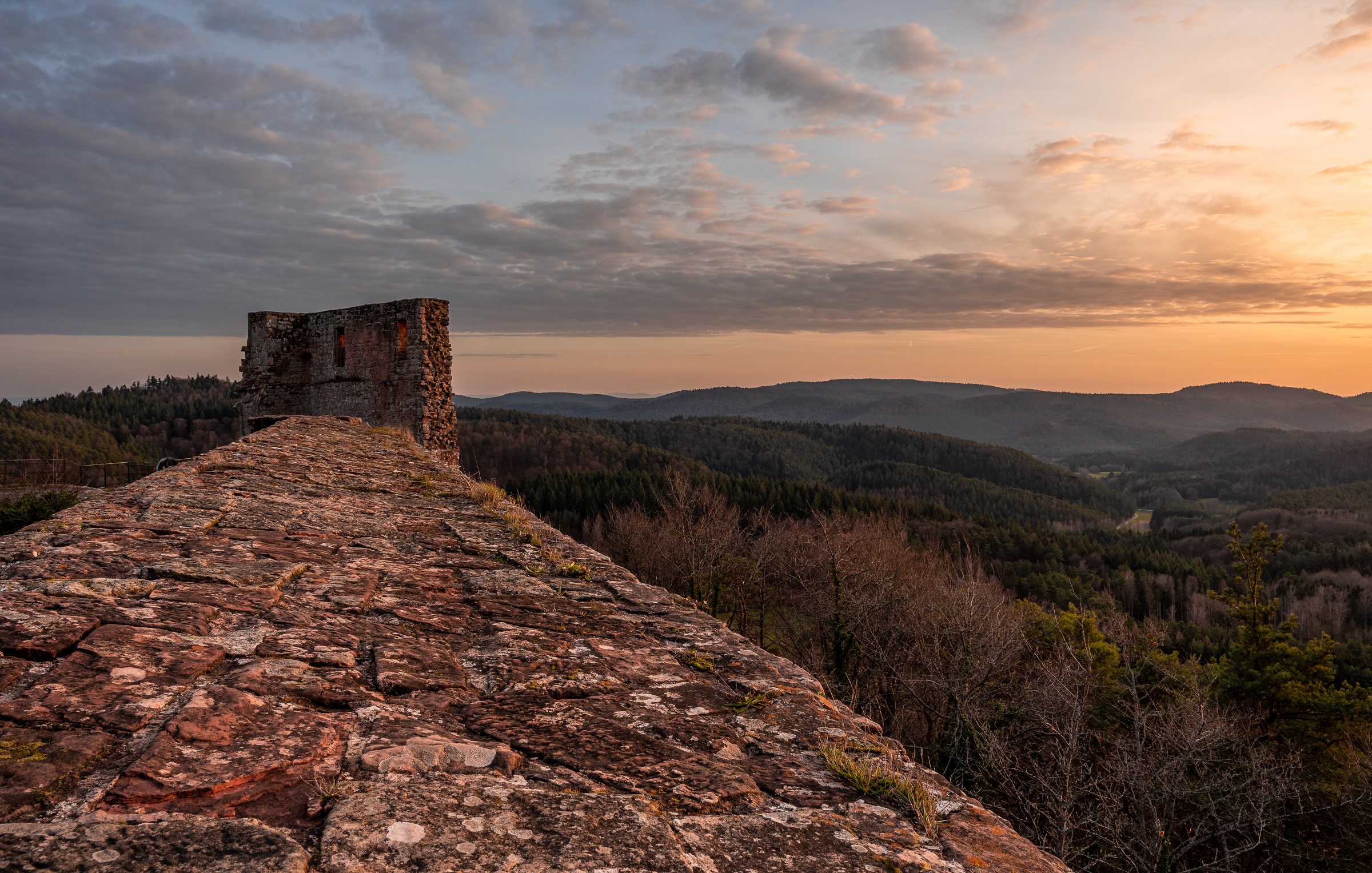 Die Mauer