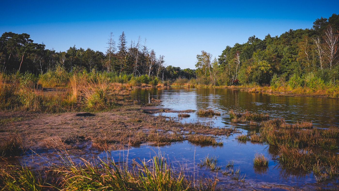 Brunsummer Heide