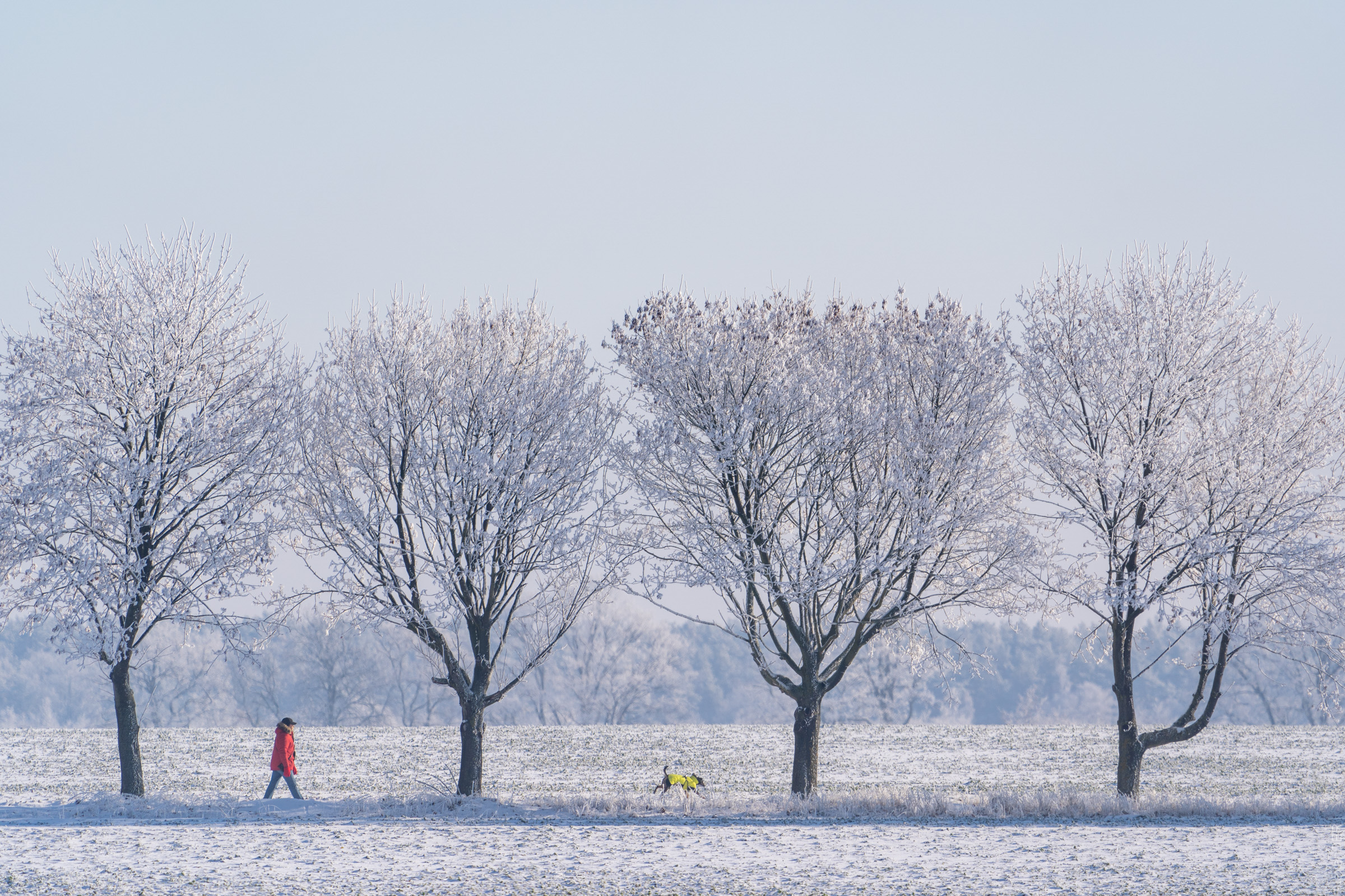 Spazieren im Winter