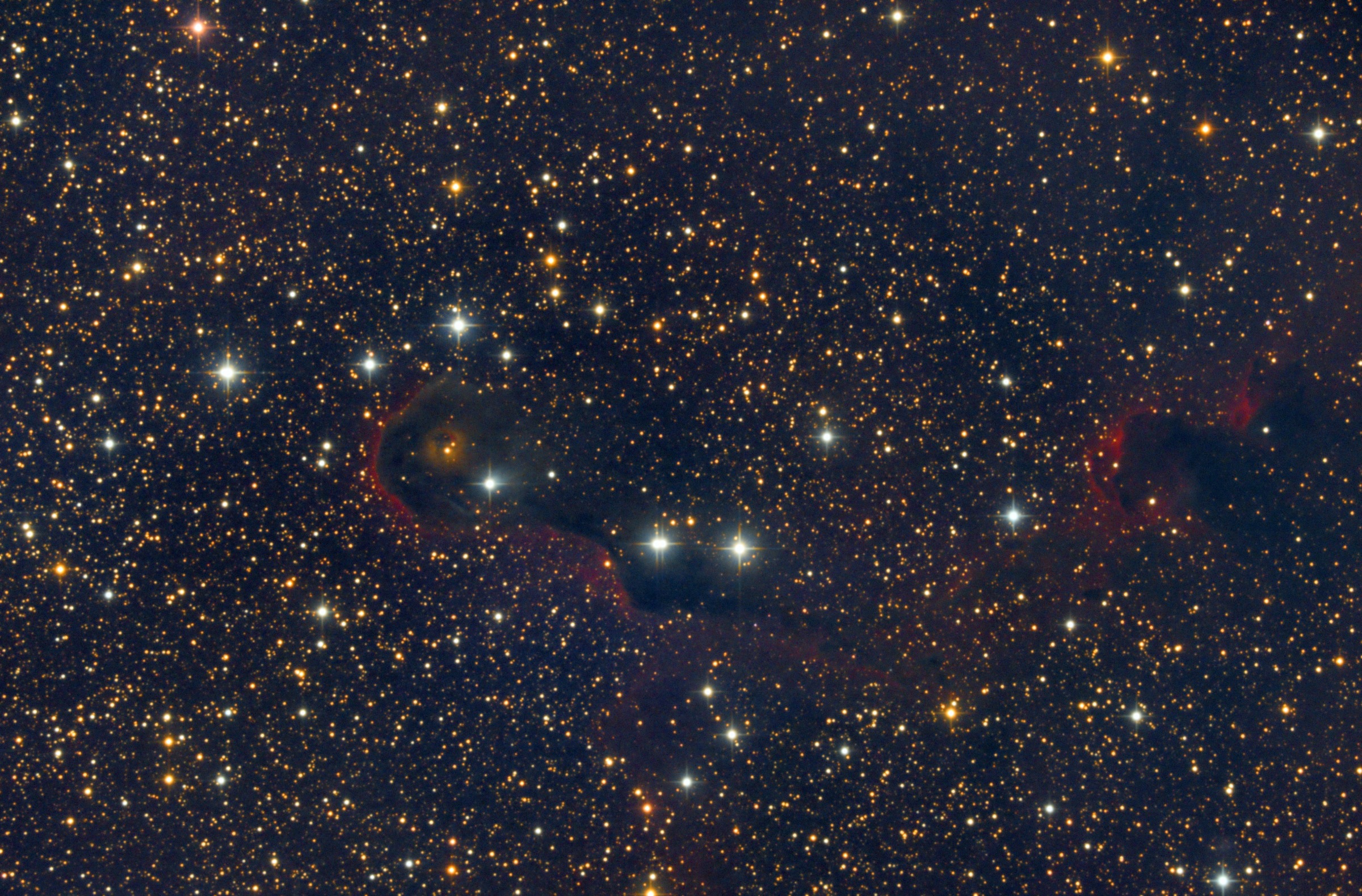 IC1396