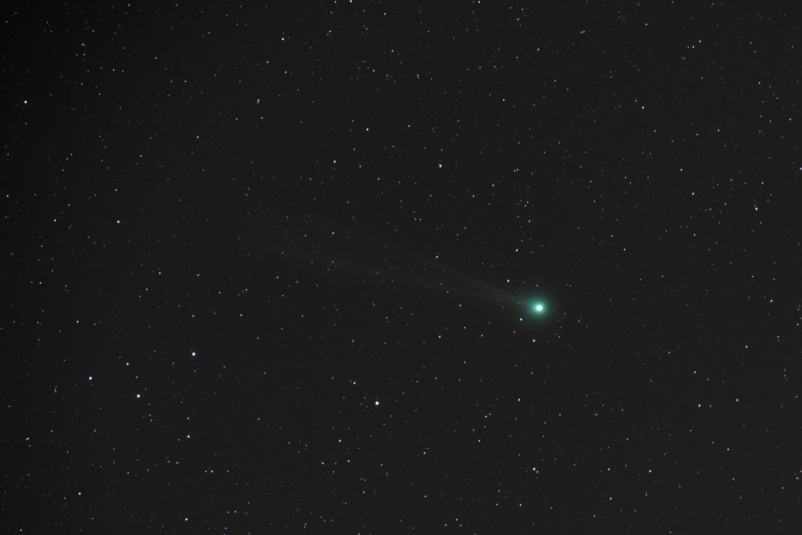 Lovejoy (Jan. 2015)