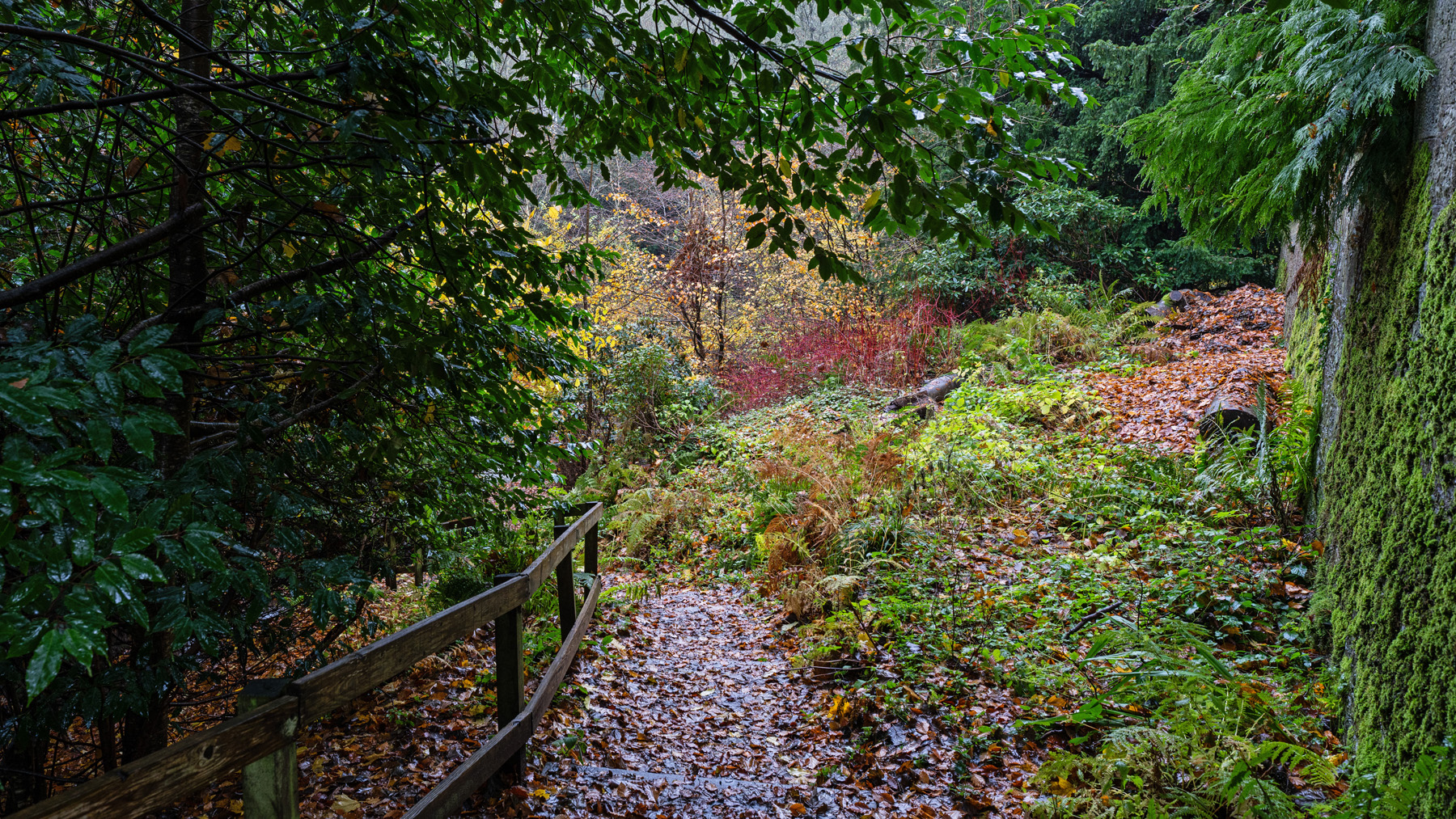 Schottland im November