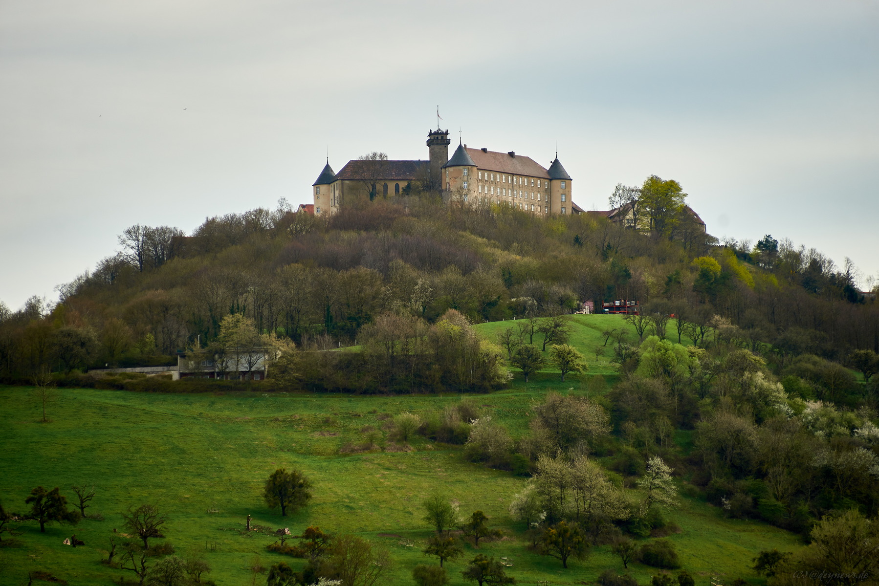 Burg Waldenburg
