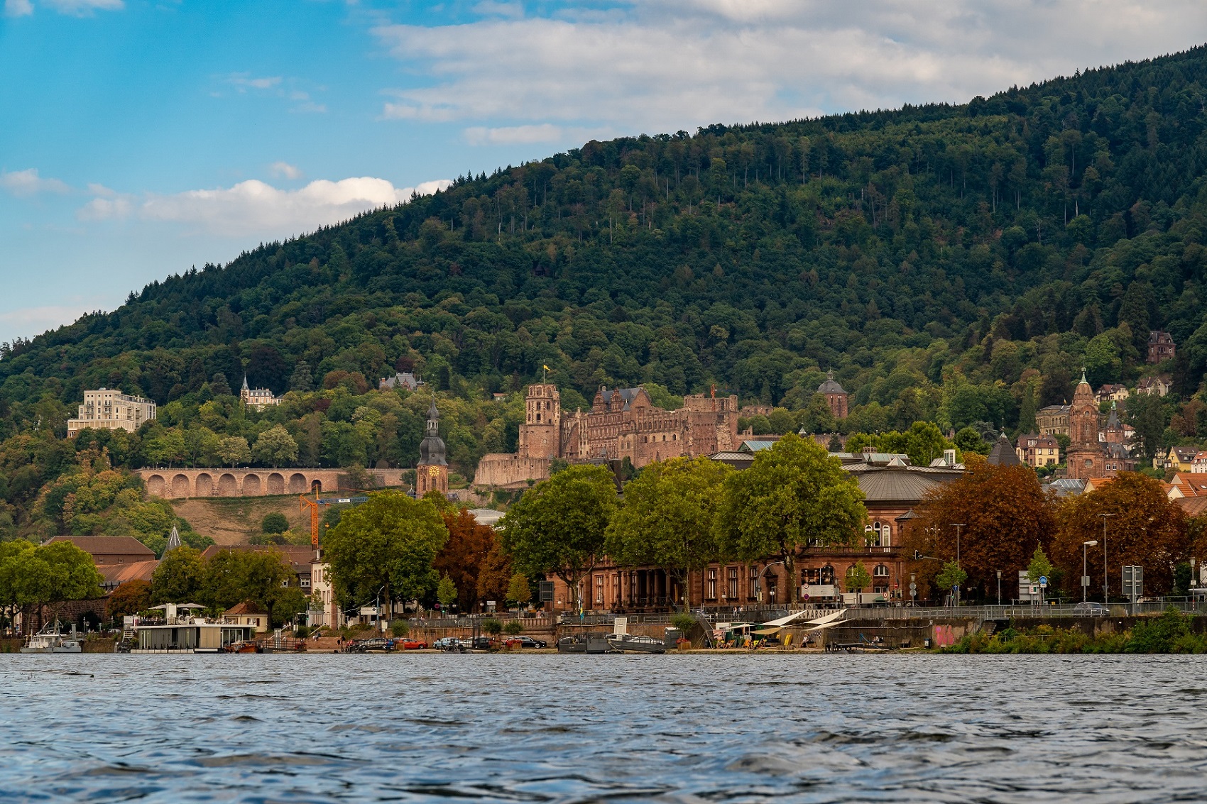 Schloss-Heidelberg