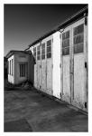 Black & White Doors