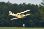 Tiger Moth