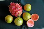 Guaven und Drachenfrucht
