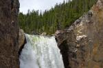 Yellowstone Canyon 05