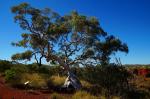 Karijini National Park