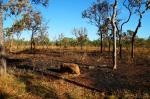 Kakadu Nationalpark