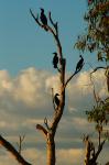 Kakadu Nationalpark
