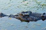 Kakadu Nationalpark