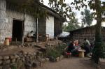 Lalibela Restaurant 3 (1366)