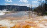 Mammoth Hot Springs 01