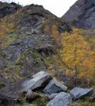 Fototour Svarhammarhola 2014 (17)