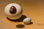Eier