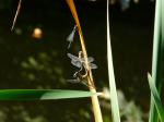 praktisch wie auf der Bettkante