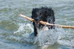 Stella in der Ostsee