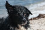 Stella in der Ostsee 6