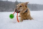 Janna macht Quatsch im Schnee