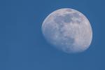 Mond 84%  23.04.2021