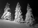 Winternacht in den Sudeten