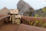 Danbo