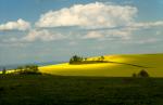 Sächsische Landschaft