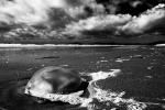 Harlech Beach