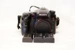 Sony A77