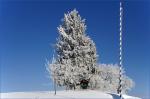 10. Platz: Wintertraum in blau-weiß (von Anaxaboras)