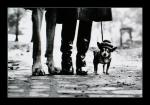 SWPA Elliot Erwitt 4