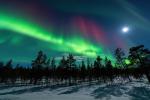 Polarlicht im schwedischen Lappland